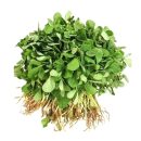 Methi - Funegreek