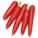 Red Carrot